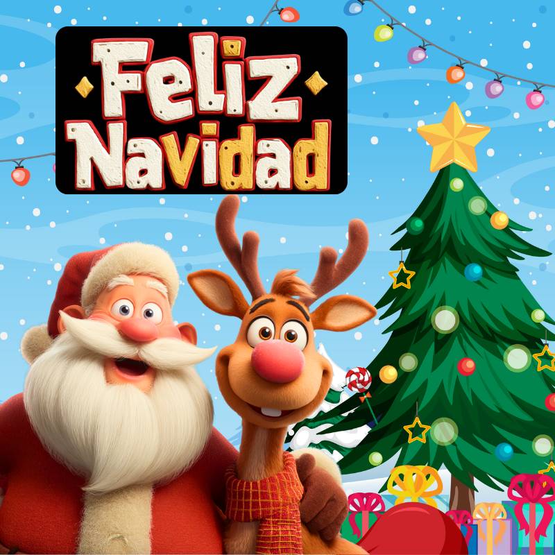 Calcetines Navidad